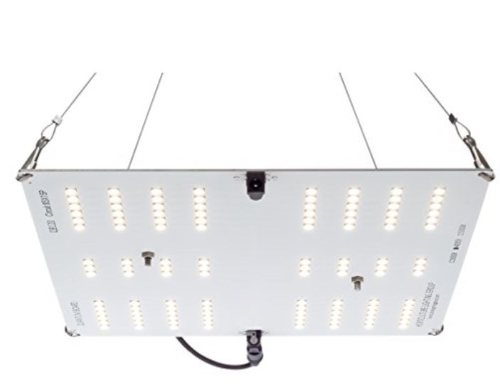 LED grow light / ED